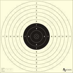 10M Air Pistol Target Cards